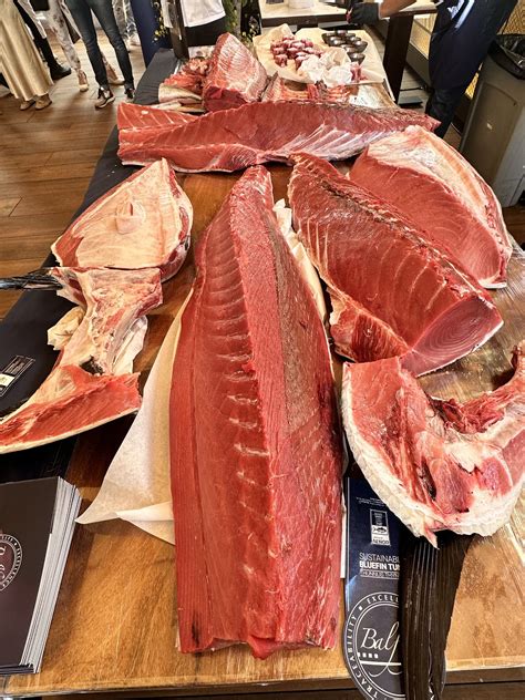 Todo lo que tienes que saber sobre el roqueo de atún y el menú