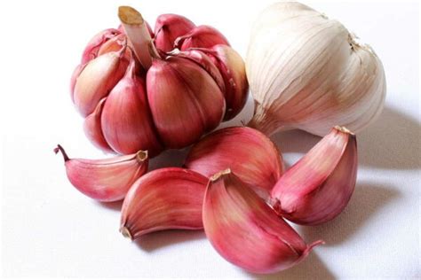 Growing Hardneck VS Softneck Garlic - Home Garden Vegetables