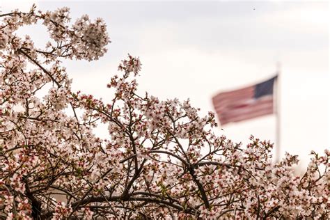 WATCH LIVE: New pope elected | Cardinal Robert Prevost, a missionary ...