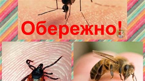 Укуси комах: як надати дітям першу допомогу – ЦПМСД №7 м.Миколаїв