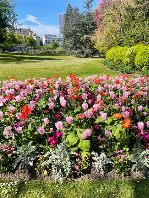 AshleyKHawaii (@Ashlleyk_Hawai) / Twitter