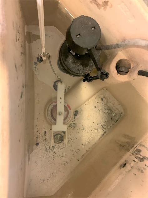 Who Makes Eljer Toilets at Carey Shaw blog