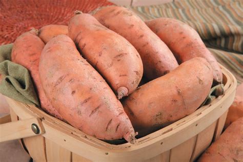 Yams - Prepared Food Photos, Inc.