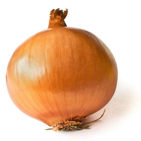 It's Hard to Work at the Onion. | A Cup of Jo