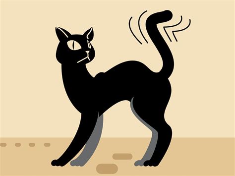 Для чего кошке нужен хвост и какую функцию выполняет? | Pro-Animal.ru