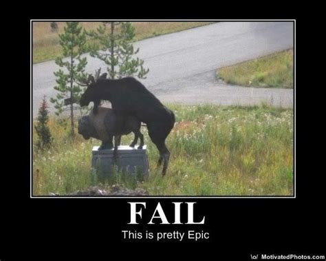 really funny pictures: Funny epic fails