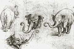 categoryhanno wikimedia commons