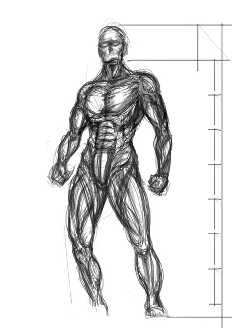 human muscle sketch  paintingvalleycom explore collection  human