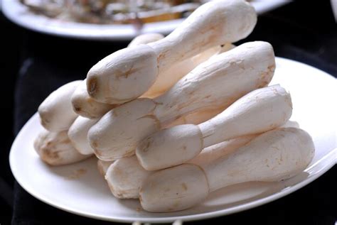 Premium Photo | Close up of chinese food fungus food