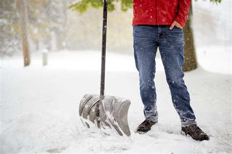 Understanding 'Snowbunny Heaven' and the Evolution of 'Snow Bunny