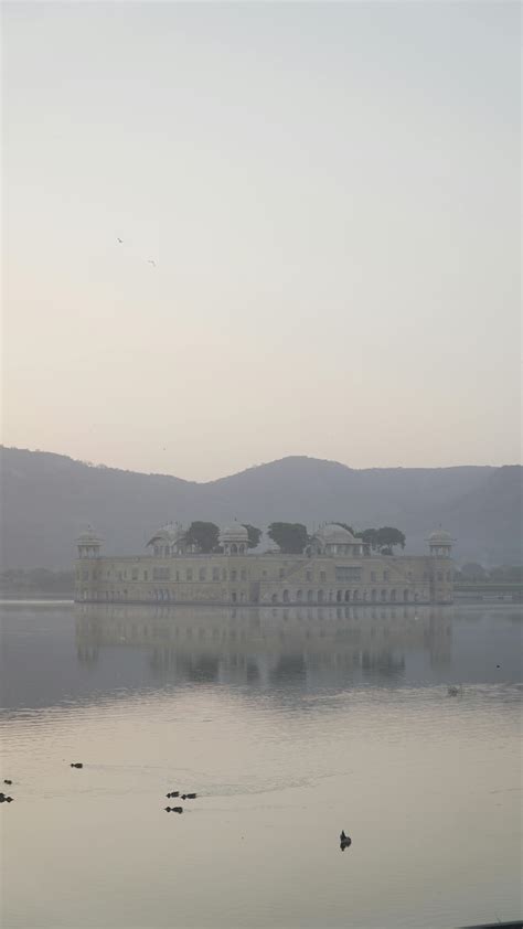 Nadine+Jansen+Pics Photos, Download The BEST Free Nadine+Jansen+Pics