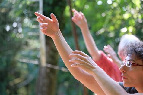 travail du chi  art corporel le pivot de notre approche tai chi