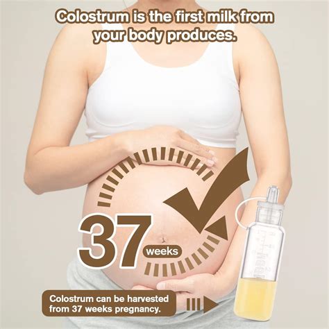 haakaa Colostrum Collector Set Colostrum Syringes for Liquid Breastmilk