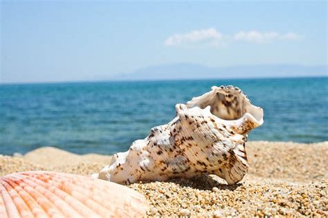 Пляж Морская Ракушка Кавала - Бесплатное фото на Pixabay
