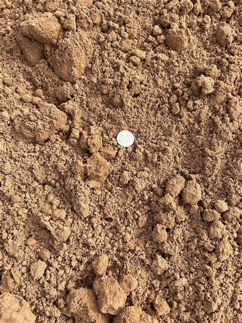 Sandy Loam | Legacy Garden Supply Waco, TX