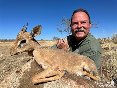 Damara Dik Dik Hunt Namibia | AfricaHunting.com