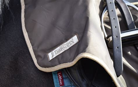 Thermatex Trainer exercise rug review | Horse & Hound