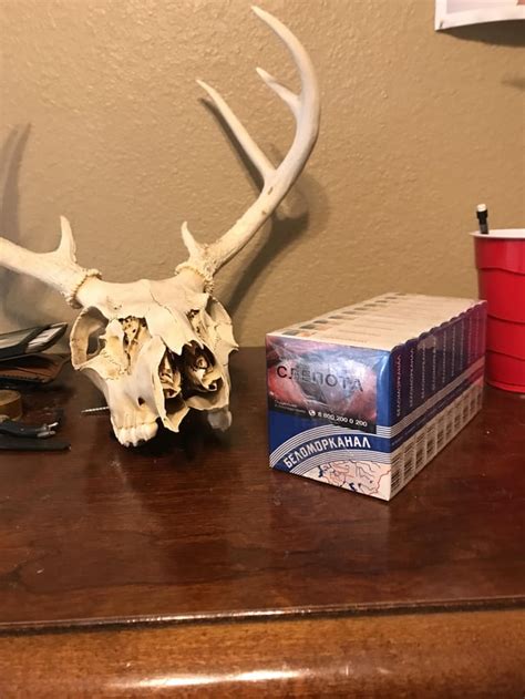 Carton of Belomorkanal or “brain killer” as I’m told : r/Cigarettes