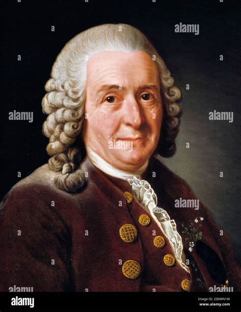 Carl linnaeus hi-res stock photography and images - Alamy