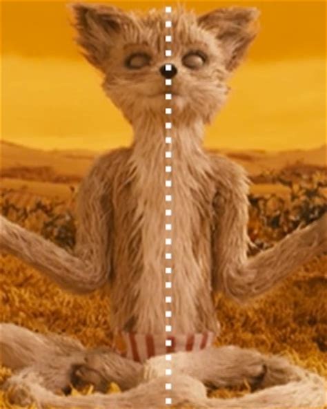 The Perfect Asymmetry Wes Anderson And His Wife In A World Of Whimsy And Precision