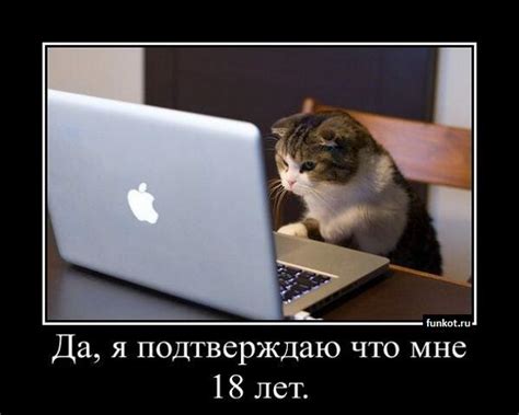 Кот за компом: Да, мне 18 лет
