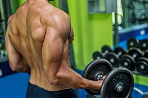 Four simple moves to burn triceps for maximum results which promise bigger arms - Daily Star