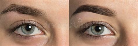 Before after eyebrows stock image. Image of closeup - 101755025