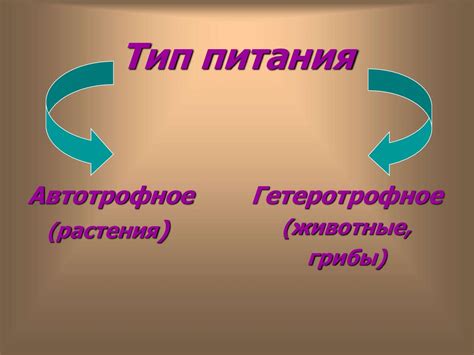 Питание и пищеварение - презентация онлайн
