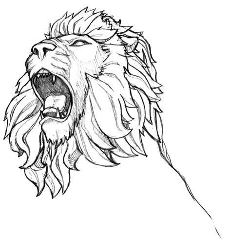 Lion Face Outline Drawing at GetDrawings | Free download