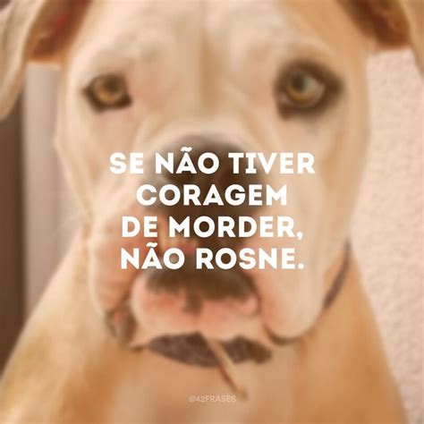 Lição De Moral Frases