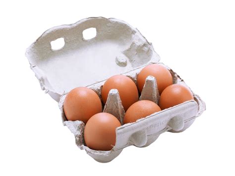 eier er ludwig obst und gemuesebau