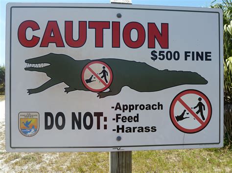 Listcrawler Alligator: Are You Making This ONE Deadly Mistake? Image 14