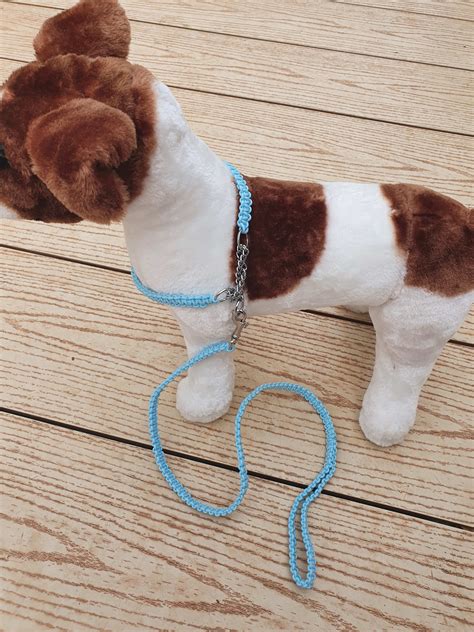 What Is A Show Lead For Dogs at Dale Mack blog