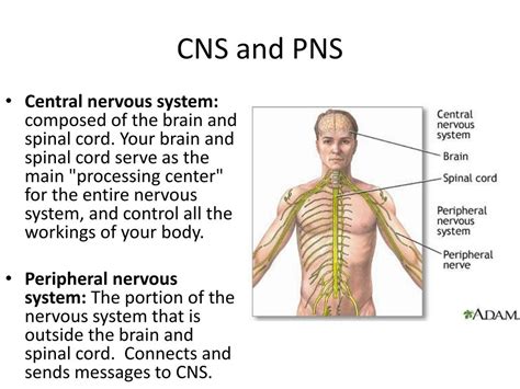 PPT - HBS ECA PowerPoint Presentation, free download - ID:1538582 