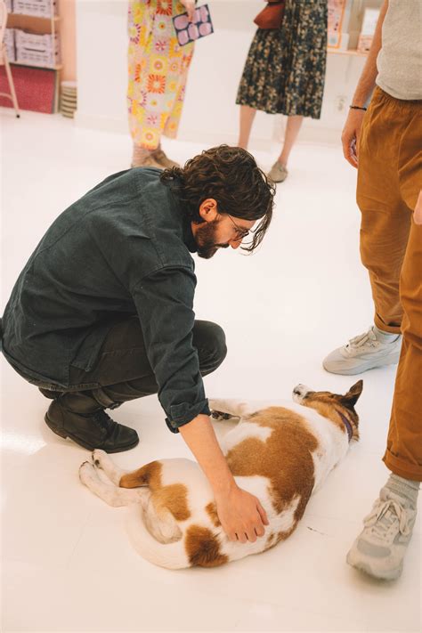 picking wildflowers - exhibition opening — pansy
