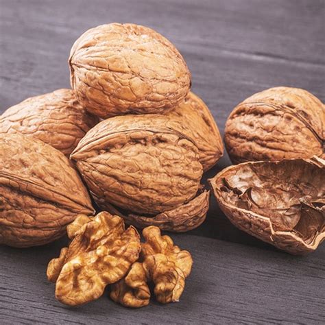 Walnut Oil - Refined - Blossom Bulk