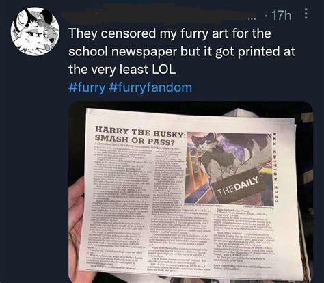 9767 best Furry Porn images on Pholder | Furry Irl, Futadomworld and