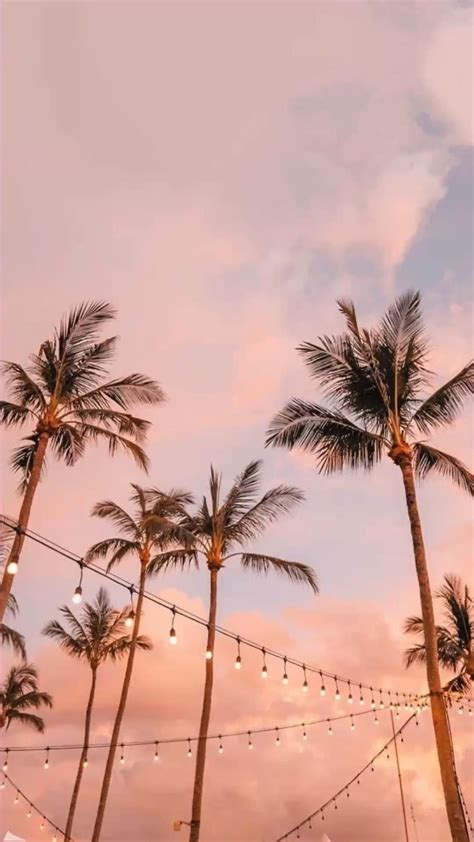 summer cutie trendy preppy wallpapers   device