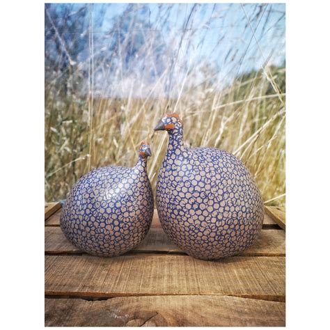 guinea fowl color 8