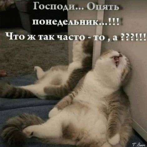 Анимированная открытка Господи... Опять понедельник...!!!