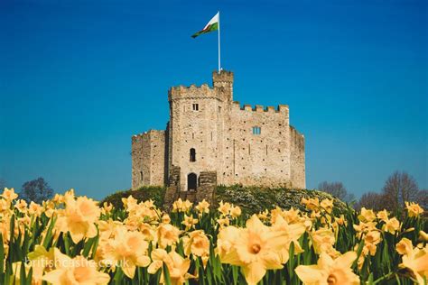 Cardiff Castle - British Castles