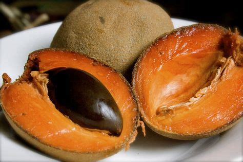 28 best TASTE Nicaragua images on Pinterest | Exotic fruit, Organic and ...