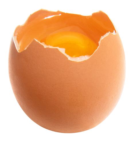egg png photo png arts vrogueco