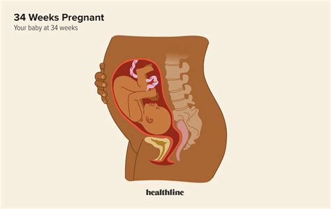 weeks pregnant symptoms tips