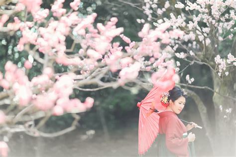 HATACHI – pidemiart