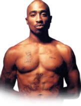 2Pac, Tupac Shakur PNG transparent image download, size: 162x212px