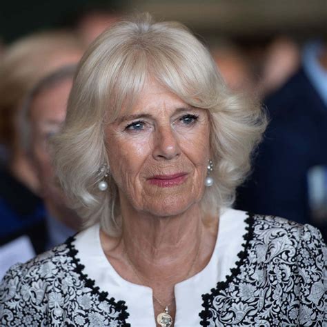 Download Camilla Blonde Hair Wallpaper | Wallpapers.com