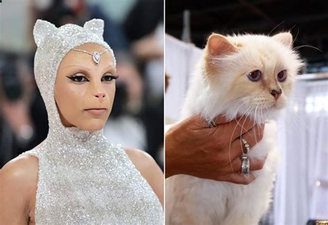 Was Karl Lagerfeld's Cat, Choupette, at the 2023 Met Gala? | POPSUGAR ...