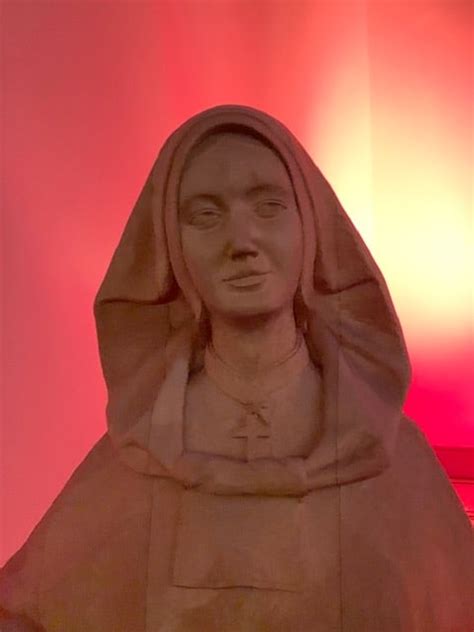 sisters celebrate  sainthood  saint marie rivier february