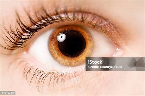 mata foto stok  gambar  dilation mata anggota tubuh